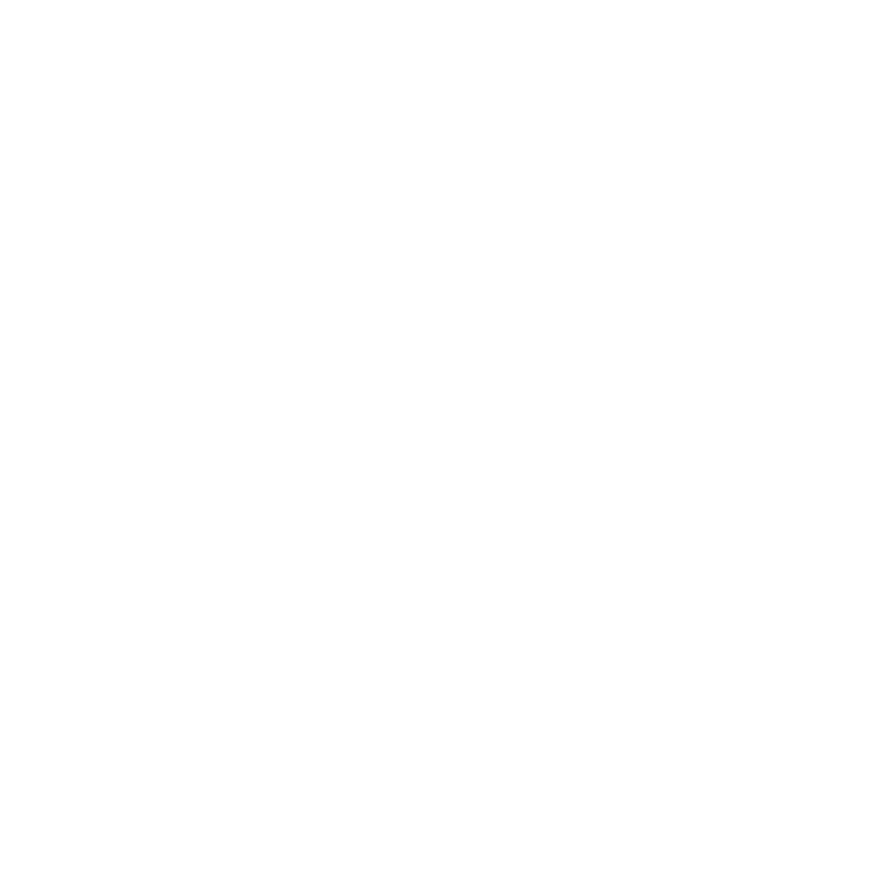 Toyota Logo